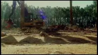 Caterpillar at ExpoForest 2011