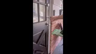 Whats in the box?!?!?!?