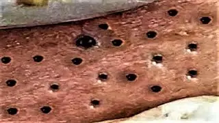 منعش طوال اليوم مع ناسا 21144