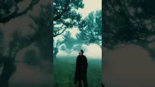 NBSPLV - Polyhedron
