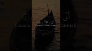 Красивое чтение корана|    Чтец:Омар Хишам  #коран #сура #аллах #shorts
