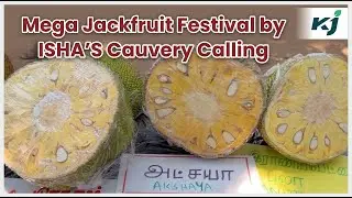 MEGA JACKFRUIT FESTIVAL BY ISHA’S CAUVERY CALLING! 2000 farmers, 100 varieties of Jackfruit & more!