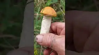 а он был 1.