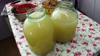 Вино из белой смородины. Часть 2