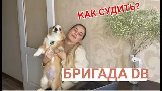 Бригада DB Часть 1 |Судейство художественная гимнастика | Правила хг