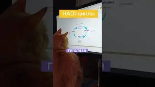 HADI-цикл — простой алгоритм, для проверки гипотезы через действие.Цель проверки — данных и выводов.