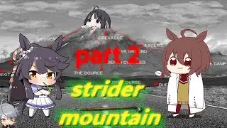 Strider Mountain COOP - Part 2