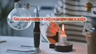 Как пользоваться сифоном для чая и кофе