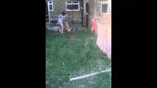 GIRL VS DOG!!!