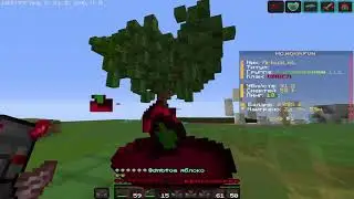 DUEL WOKAMC | gray_gamer | mc.woka.fun