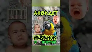 Анекдот. Как не нужно учить попугая !