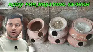 setup ready for breeding season | cocktails breeding season starts 2024 | preparing setup for breed