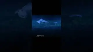 I didn't find the updated model :(//Edit Toothless and Light Fury