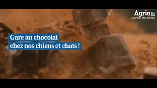 AGRIA - Gare au chocolat !