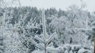 Эх , зимушка  зима                       #зимниекрасоты