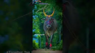 Duryodhana | ದುರ್ಯೋಧನ #actionbull