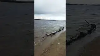 Volga River. 1-st May #russia #volga #volgariver #russiancity #russiannature #russian #samara
