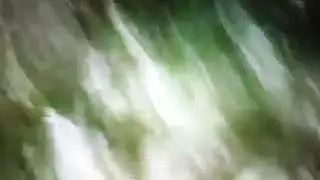 BIGFOOT THE VANCOUVER CREEPER  THE PROVINCIAL PARK FOOTAGE