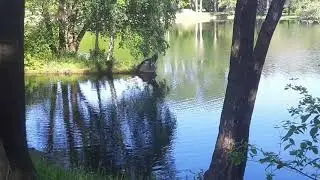 Victory Park. St.Petersburg