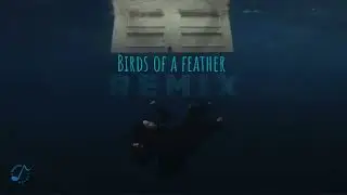 Billie Eilish - BIRDS OF A FEATHER (ABM Productions REMIX)
