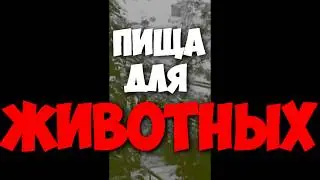 В последний путь (Пища для Животных) - Trailer