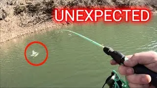 I Caught an UNEXPECTED FISH from a COLD RIVER!!