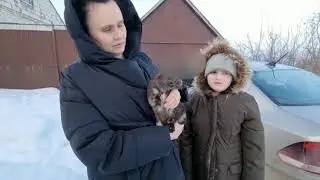 ПРЕДАТЕЛЬСТВО!!?  Могу, умею, практикую...