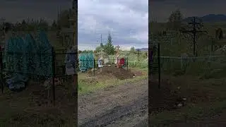 Мы приехали на кладбище.