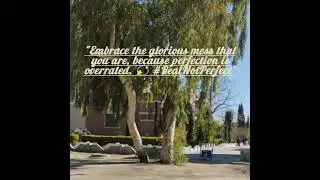 quotes ✨ #quotes