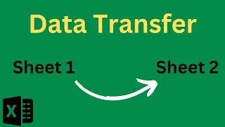 How to Automatically Transfer Data From One Sheet to Another in Excel Using Macros | 