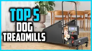 ✅Top 5 Best Dog Treadmills in 2024