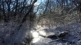 видеофон ручей осень ручей зима