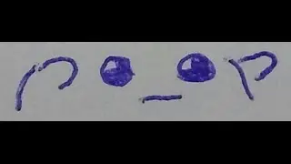 這就是C卡粉的下場