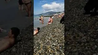 Пёс и камень
