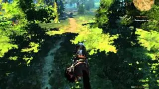 Witcher 3: Wild Hunt (Core 2 Duo 1.86 e6320, GT630 2gb ddr3)