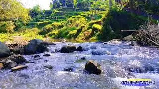 relaxing river sounds : River Sounds to Relax Your Heart and Mind