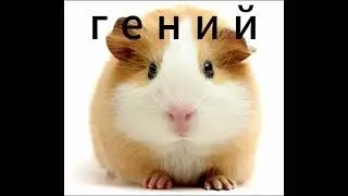 майкрафт прохождение зомби апокалипса