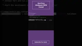 Symfony Command Webpack NPM Install 