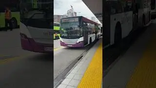 [SBST] SBS8740X On Service 113 - Scania K230UB Euro V Gemilang Batch 1