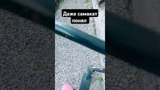 25 июня 2024 г.
