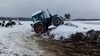 Чистим Снег Навоз буксуем но гребет мтз с Самодельным мостом газ 66