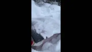 Зимовка пчел в пермском крае