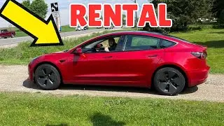 Renting A Tesla For 24 Hours To See What The Hype Is About!