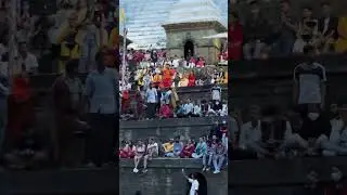#Pashupati shandhya arati #thursday #yshorts #purenepali #pashupatinath #arati #Nepal