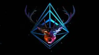 Lifewild