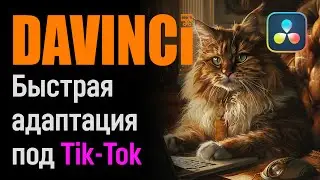 Как быстро адаптировать ролик под Тик Ток в DaVinci Resolve. Scene Cut Detects и Reframe