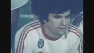 1982. 