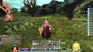 Aion pvp Heiron today with the advent of Tiamat February 10, 2015