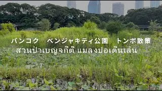 バンコク　ベンジャキティ公園　トンボ　散策
