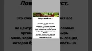 Польза лаврового листа 